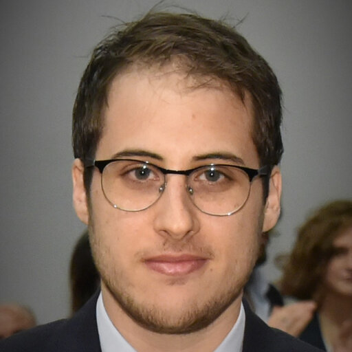 Dr. Giovanni Chiarion - Blood Vessel Analysis Researcher